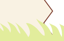 Трава отображается поверх границы